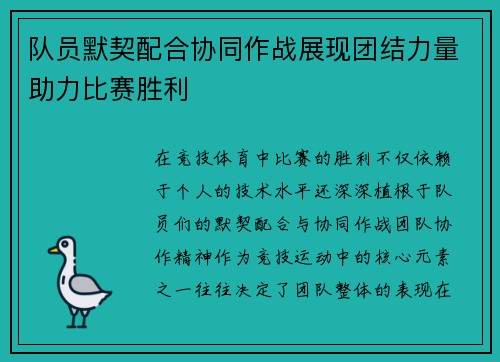 队员默契配合协同作战展现团结力量助力比赛胜利
